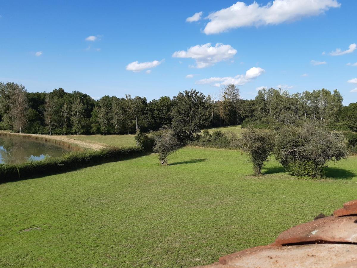 Gite La Voliere Ouverte Valigny Exteriér fotografie